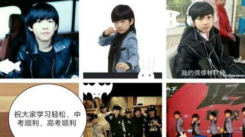 林秋楠打实战比赛视频,林秋楠实战比赛精彩瞬间回顾