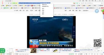如何下载cctv视频,CCTV视频下载全攻略