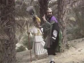 苔杖视频,探寻自然之美与生活智慧