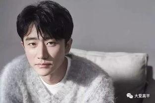 李大翠我是大明星视频,从平凡走向舞台的璀璨星光