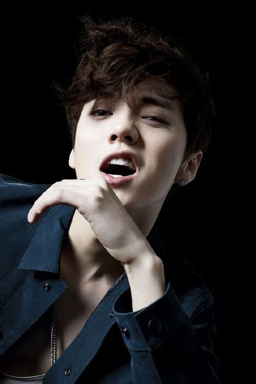 李大翠我是大明星视频,从平凡走向舞台的璀璨星光