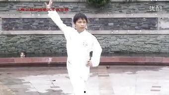 绵拳教学视频,领略传统武术的柔韧之美