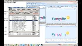 网站测试视频,全面解析测试过程与成果