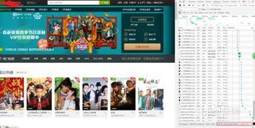 网站测试视频,全面解析测试过程与成果