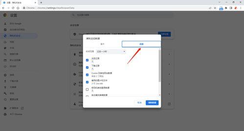 谷歌浏览器缓存视频,轻松提取并观看视频缓存内容